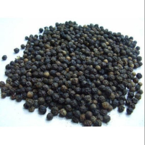 MALABAR GARBLED_1