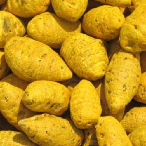 salem-turmeric-finger-991906